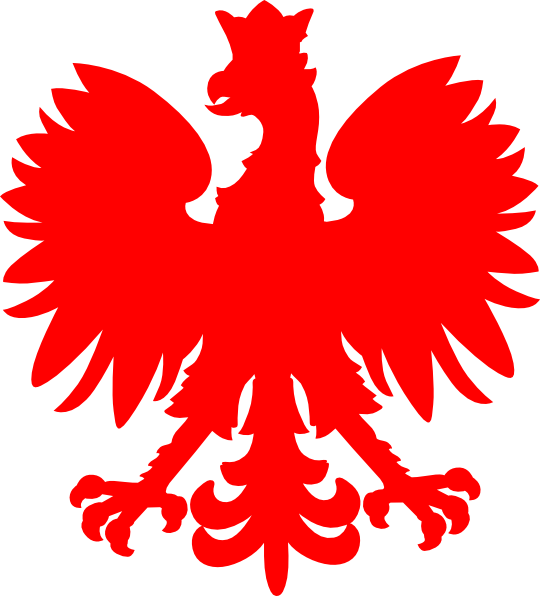 Order Fast IPTV Service in Poland