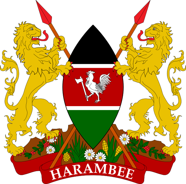 Best IPTV Subscription in Kenya
